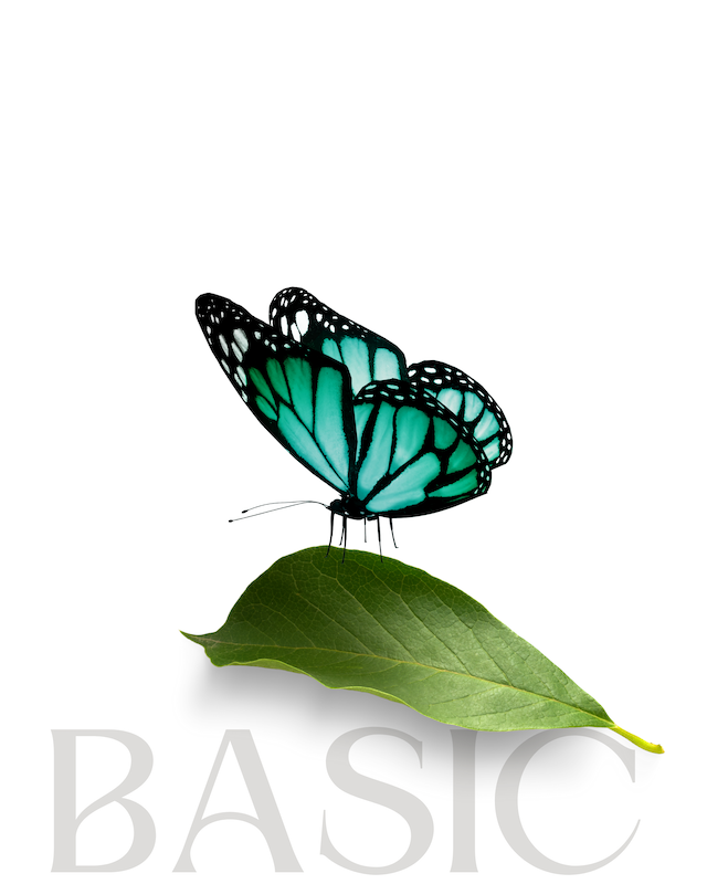 Premiumprogramm 5 CC BY 2.0 Carolina Buerger 2025 10 01