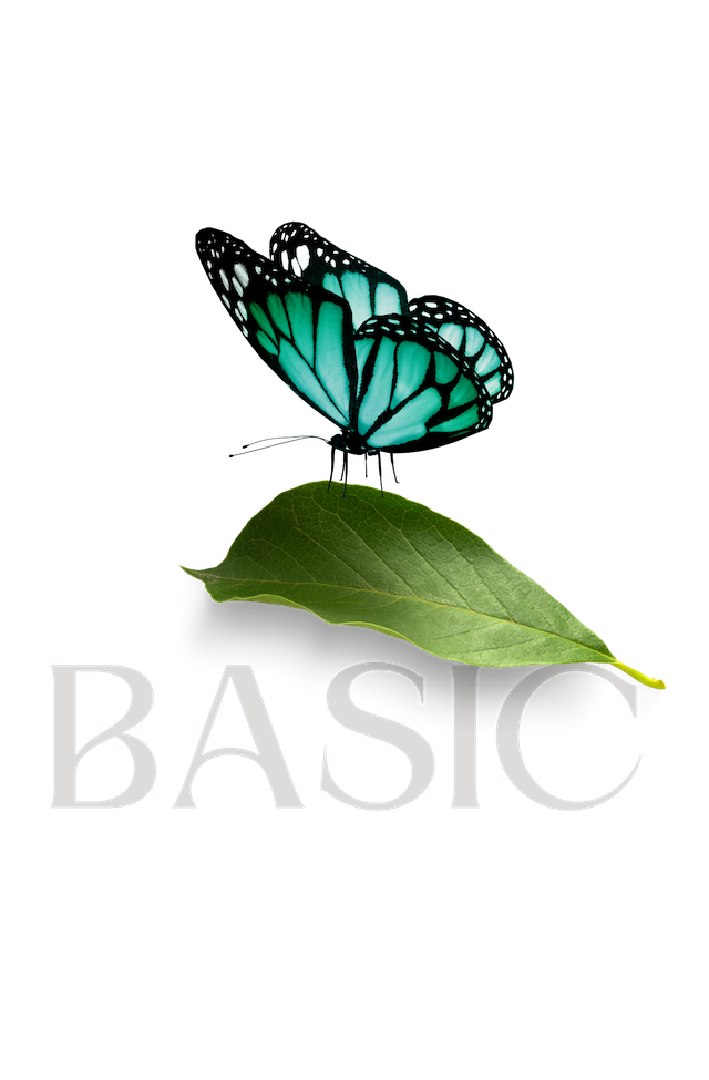 Premiumprogramm Basic CC BY 2.0 Carolina Buerger 2025 10 01