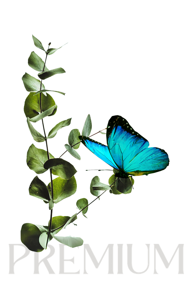 Premiumprogramm Premium CC BY 2.0 Carolina Buerger 2025 10 01